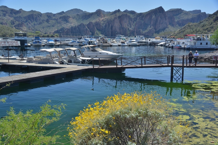 Saguaro Lake marina